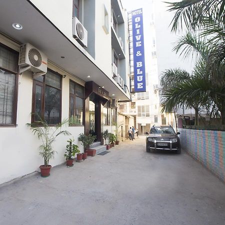 Hotel Olive & Blue - Govt Approved Hotel Near Delhi Airport Nuova Delhi Esterno foto